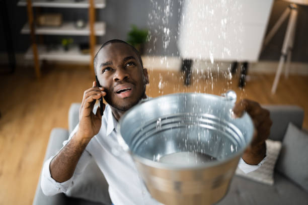 Best Professional water damage repair  in Bushnell, FL
