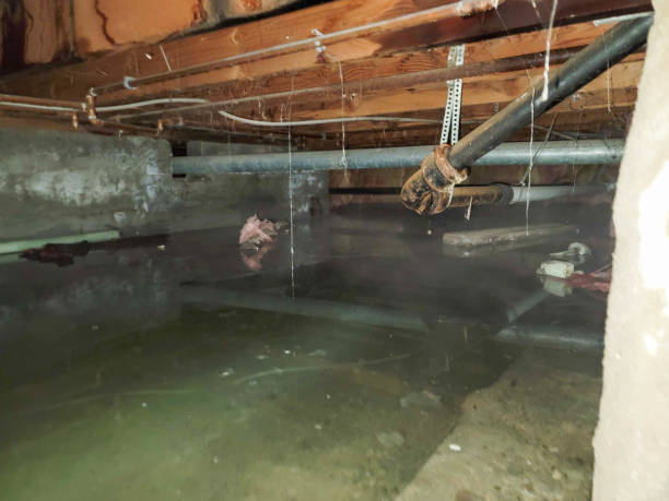 Best Residential water damage restoration  in Bushnell, FL