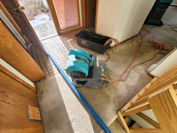 Best Local water damage restoration  in Bushnell, FL