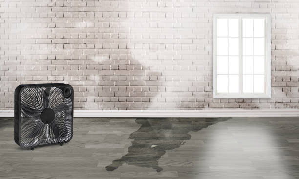 Trusted FL Water damage restoration Experts