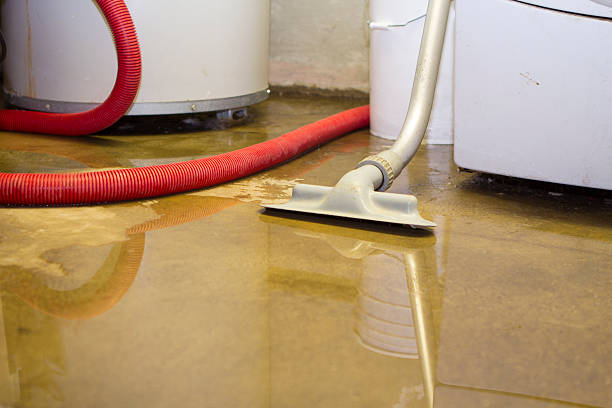 Best Flooded house restoration  in Bushnell, FL