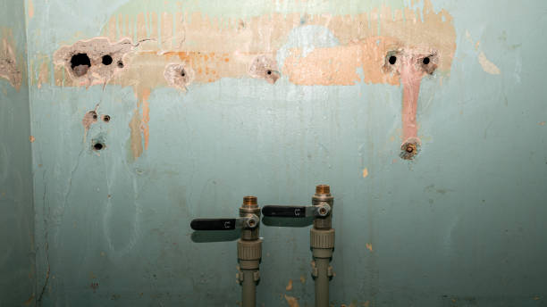 Best Water damage contractors near me  in Bushnell, FL