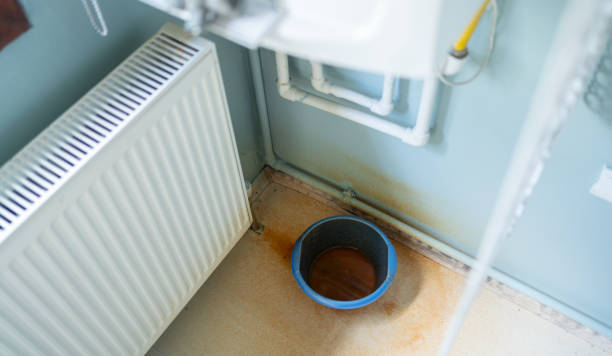 Best 24-hour water damage restoration  in Bushnell, FL