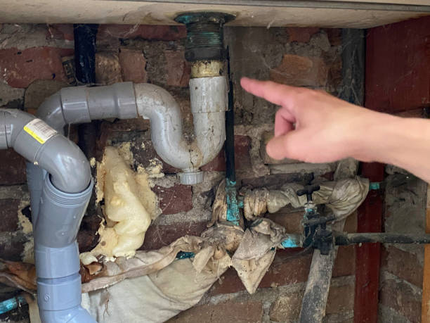 Best Water damage restoration near me  in Bushnell, FL