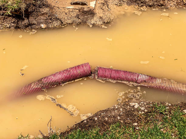 Best Emergency water damage restoration  in Bushnell, FL