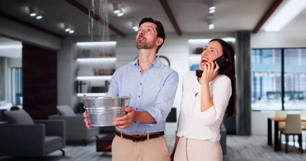 Best Ceiling water damage repair  in Bushnell, FL