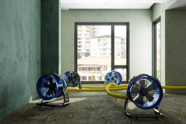 Best Carpet water damage restoration  in Bushnell, FL
