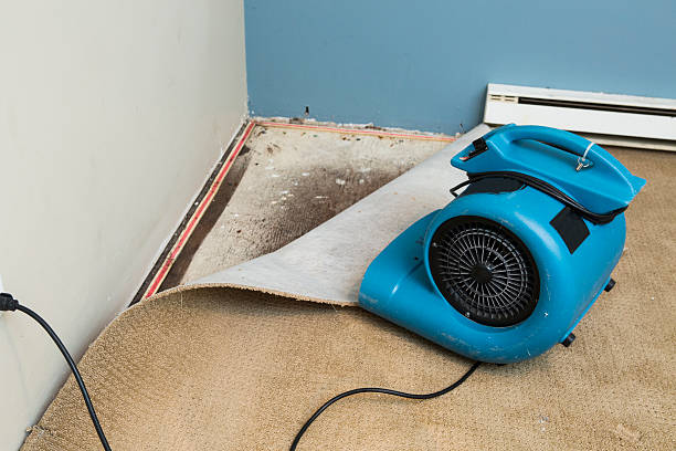 Best 24/7 water damage repair  in Bushnell, FL